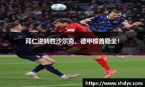 拜仁逆转胜沙尔克，德甲榜首稳坐！
