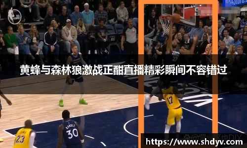 黄蜂与森林狼激战正酣直播精彩瞬间不容错过