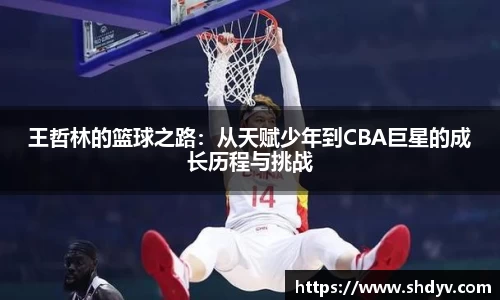 王哲林的篮球之路：从天赋少年到CBA巨星的成长历程与挑战