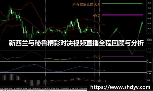 新西兰与秘鲁精彩对决视频直播全程回顾与分析