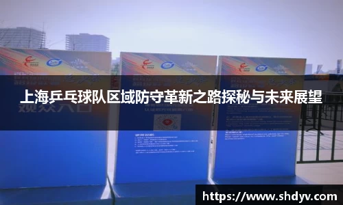上海乒乓球队区域防守革新之路探秘与未来展望